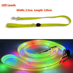 USB rechargeable LED dog leash product image showing multicolor light shine design