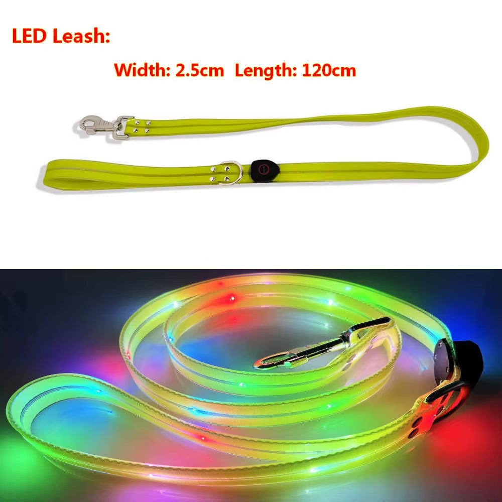 USB rechargeable LED dog leash product image showing multicolor light shine design