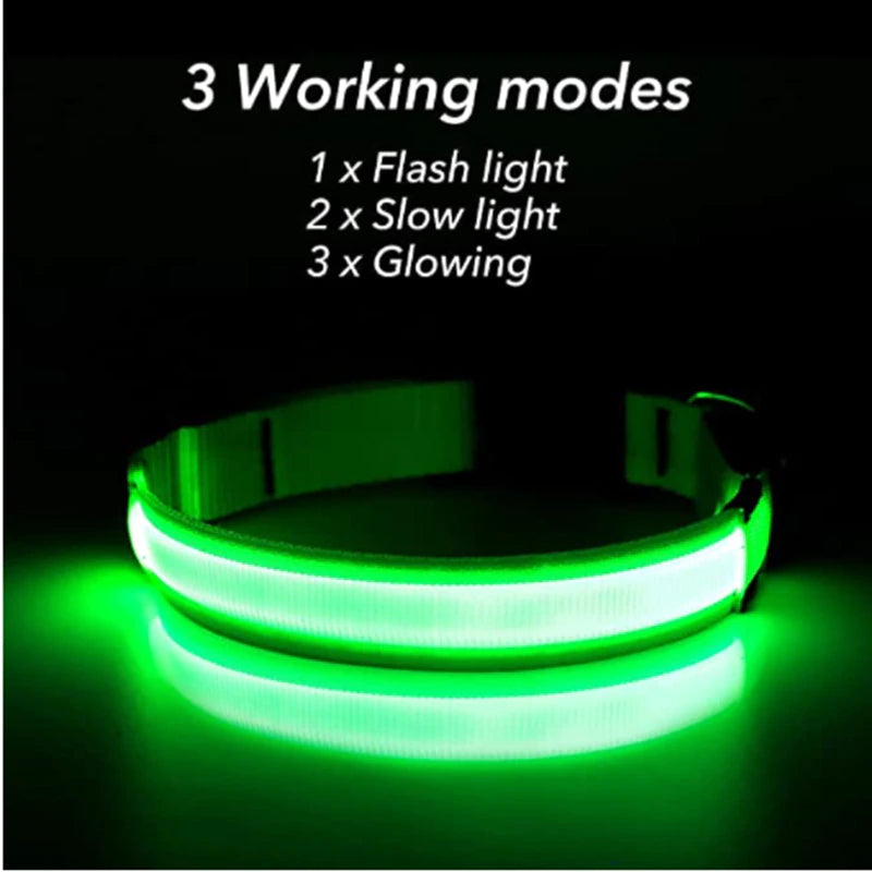 Green LED dog collar showing three lighting modes: flash, slow blink, and glowing for nighttime pet safety.