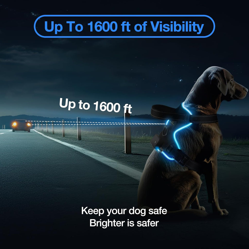 dog wearing led harness at night with bright blue illumination showing up to 1600 ft visibility for safety