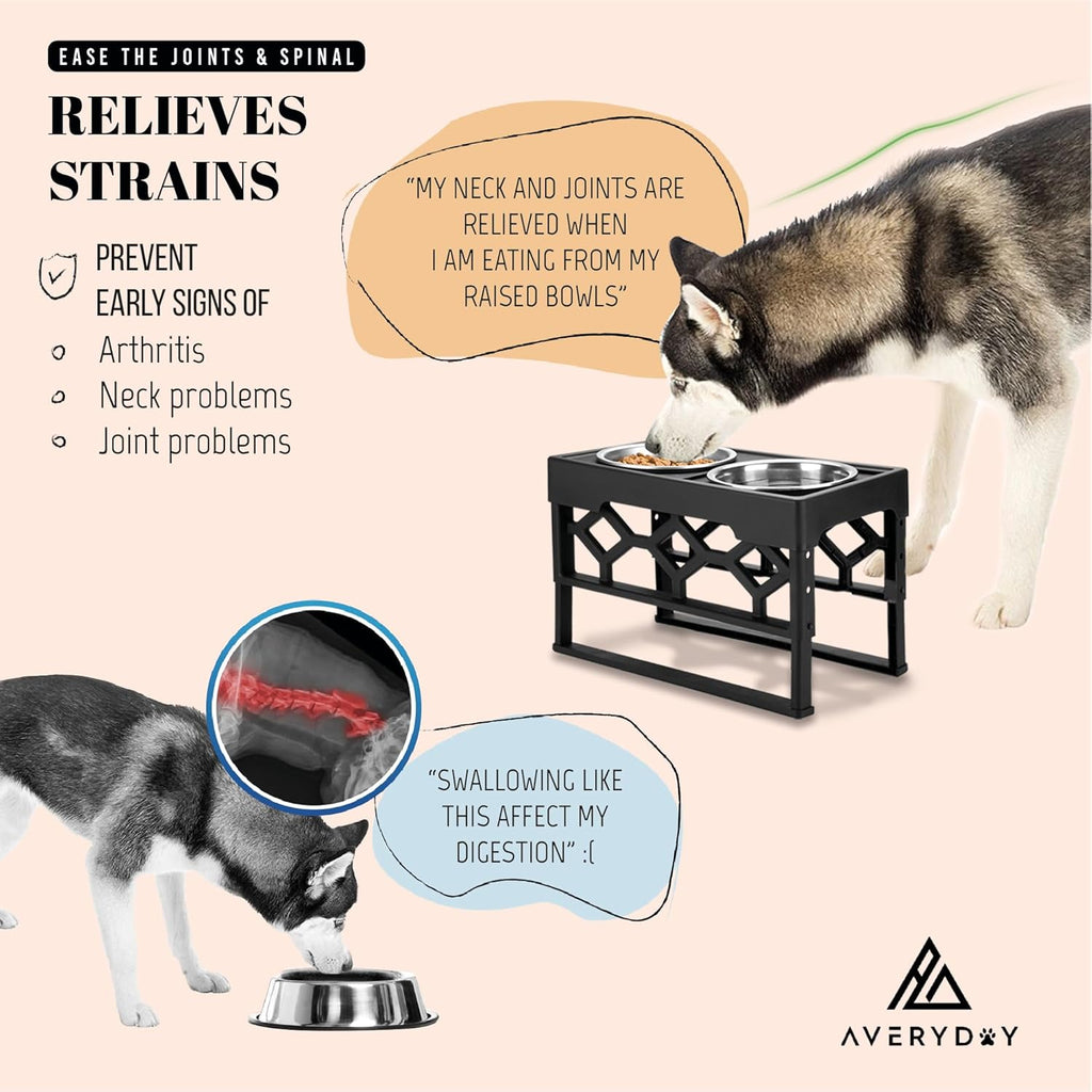 dog eating from adjustable elevated feeder with stainless steel bowls ergonomic raised height