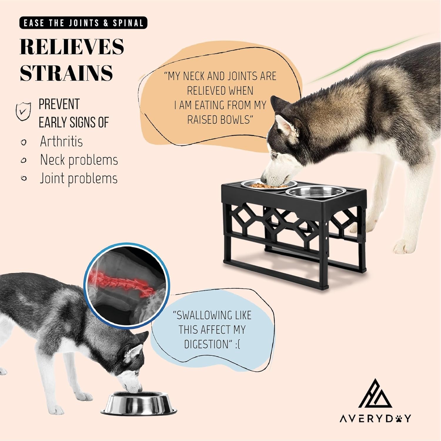 dog eating from adjustable elevated feeder with stainless steel bowls ergonomic raised height