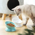 ceramic raised cat bowl white elevated slanted dish for healthy digestion