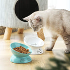 ceramic raised cat bowl white elevated slanted dish for healthy digestion