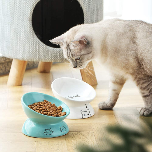 ceramic raised cat bowl white elevated slanted dish for healthy digestion