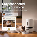 Smart automatic pet feeder with built‑in camera and two‑way audio showing a cat eating while the owner speaks through the app.