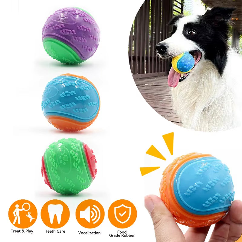 TPR squeaky dog ball durable chew resistant toy for small and medium dogs