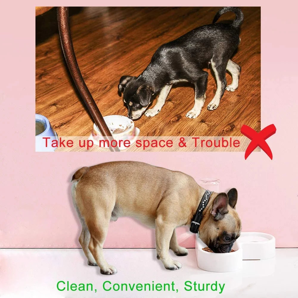 safe pet feeding comparison showing correct use of automatic water dispenser versus unstable bowl setup