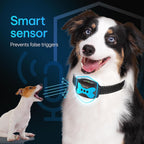 Dog collar with smart sensor that filters out external sounds and prevents false triggers. An Australian Shepherd wears the collar while ignoring another dog barking
