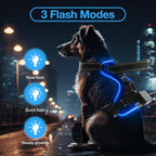 dog wearing led harness at night showing slow flash quick flash and steady glowing modes in city street