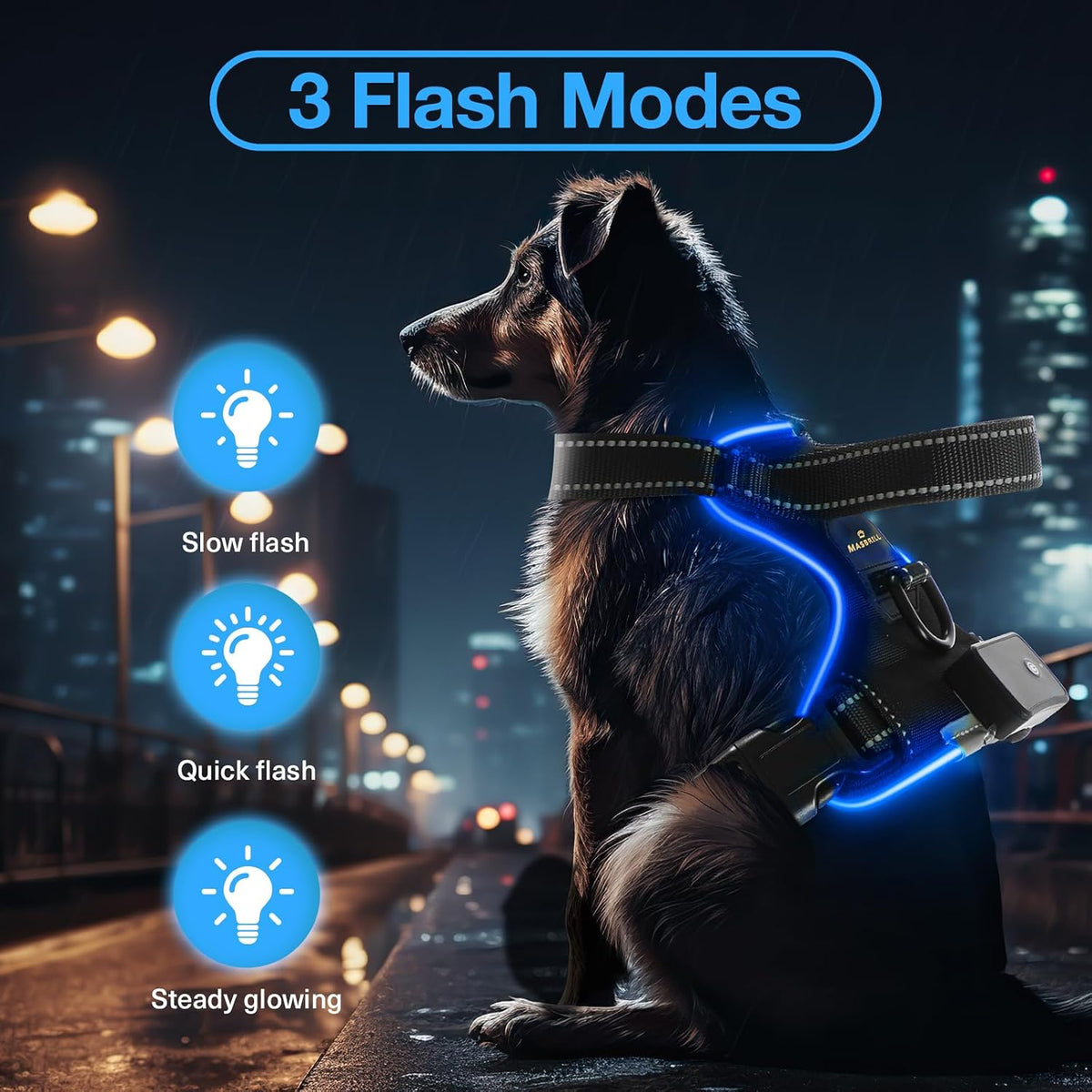 dog wearing led harness at night showing slow flash quick flash and steady glowing modes in city street
