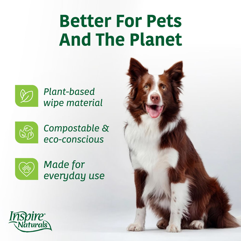 eco friendly pet wipes ad with dog promoting plant based compostable everyday use
