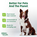 eco friendly pet wipes ad with dog promoting plant based compostable everyday use