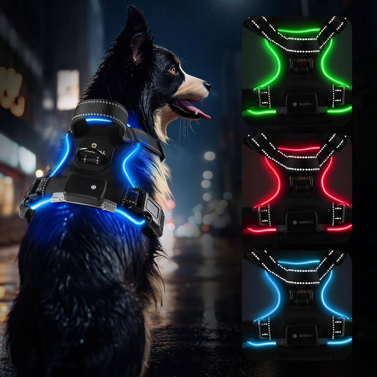 dog wearing led harness at night with blue green and red illuminated safety vest options