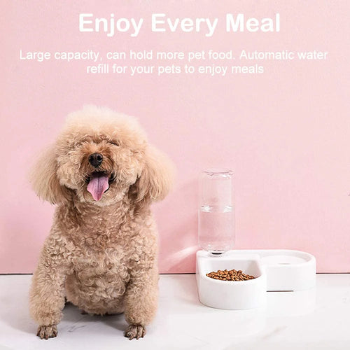 small dog eating from automatic pet water dispenser with food bowl and gravity water refill system