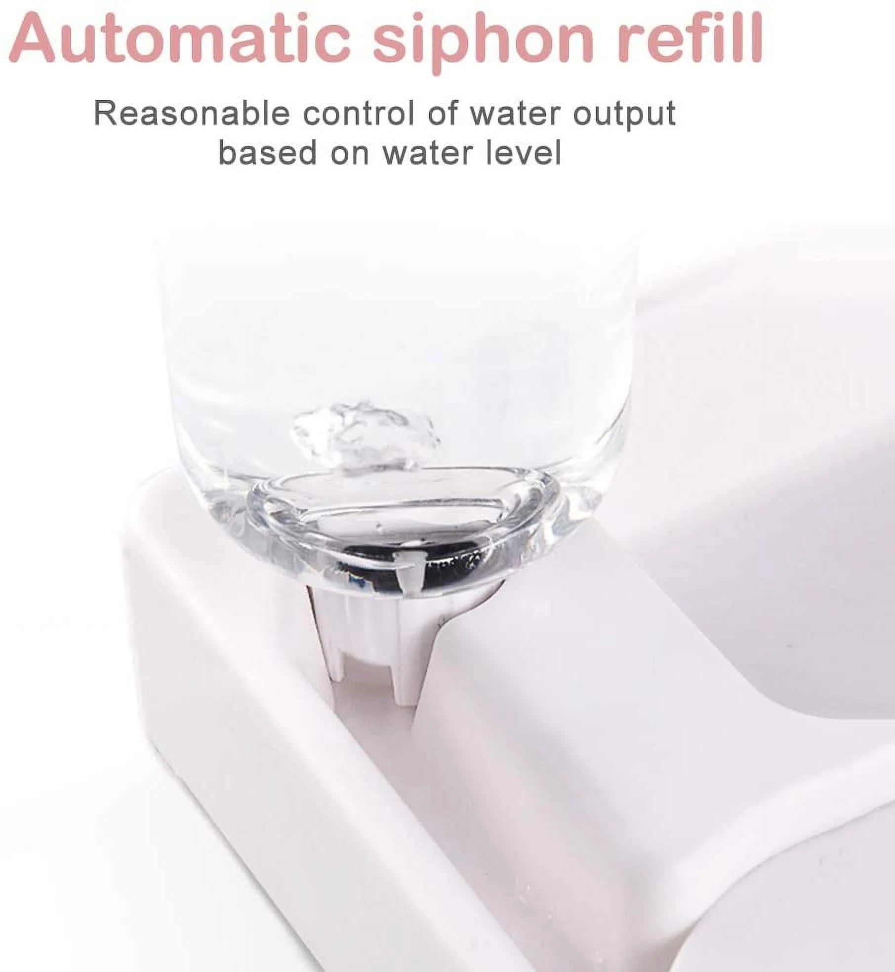 automatic siphon refill system for pet water dispenser showing smooth surface and easy clean design