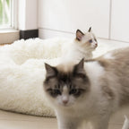 soft faux fur cat bed close up plush calming material for cozy sleep