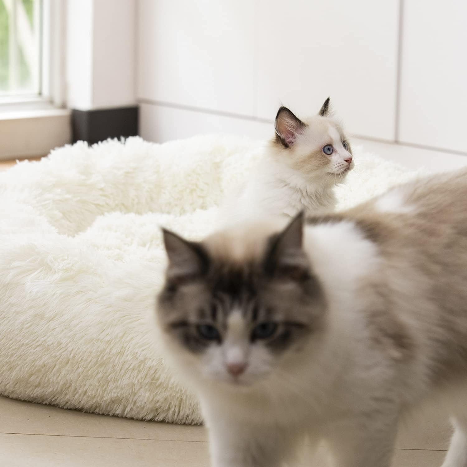soft faux fur cat bed close up plush calming material for cozy sleep