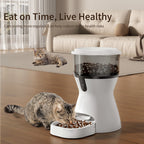 cat eating from smart automatic feeder promoting scheduled feeding healthy routine and portion control