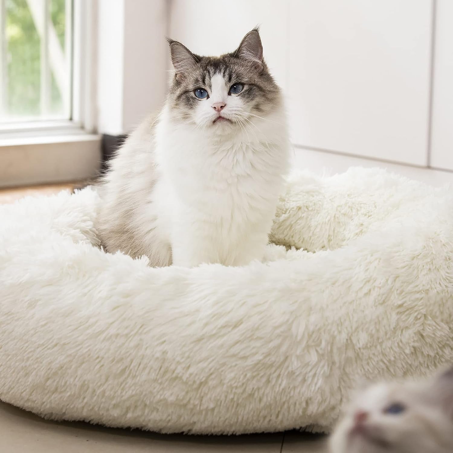 fluffy anti anxiety donut cat bed white plush faux fur calming round bed for cats