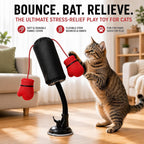 Cat playing with an interactive boxing bag toy featuring a flexible stem, suction cup base, and dangling red boxing gloves.