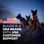 dogs wearing LED collars outdoors at dusk highlighting USA brand and customer support