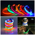 LED glowing dog collars in multiple colors with two dogs wearing light‑up safety collars at night.