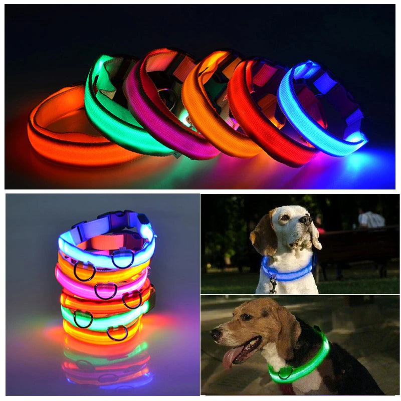 LED glowing dog collars in multiple colors with two dogs wearing light‑up safety collars at night.