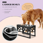 elevated dog feeder with unique ladder design featuring two stainless steel bowls extra deep surface cleaner eating and downward spill control with dog eating