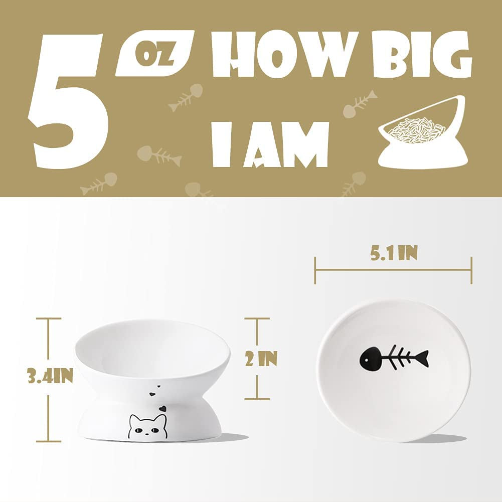 white ceramic cat feeder bowl elevated anti spill design for small cats