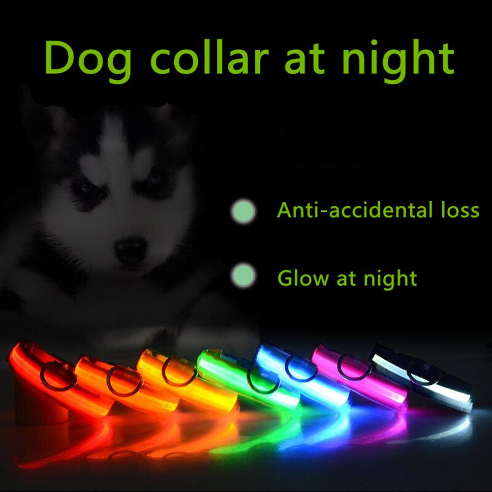 Glowing LED dog collars in multiple colors with dogs wearing light‑up safety collars at night.