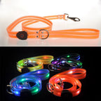 multiple LED dog leashes coiled and glowing in assorted colors for night safety illumination
