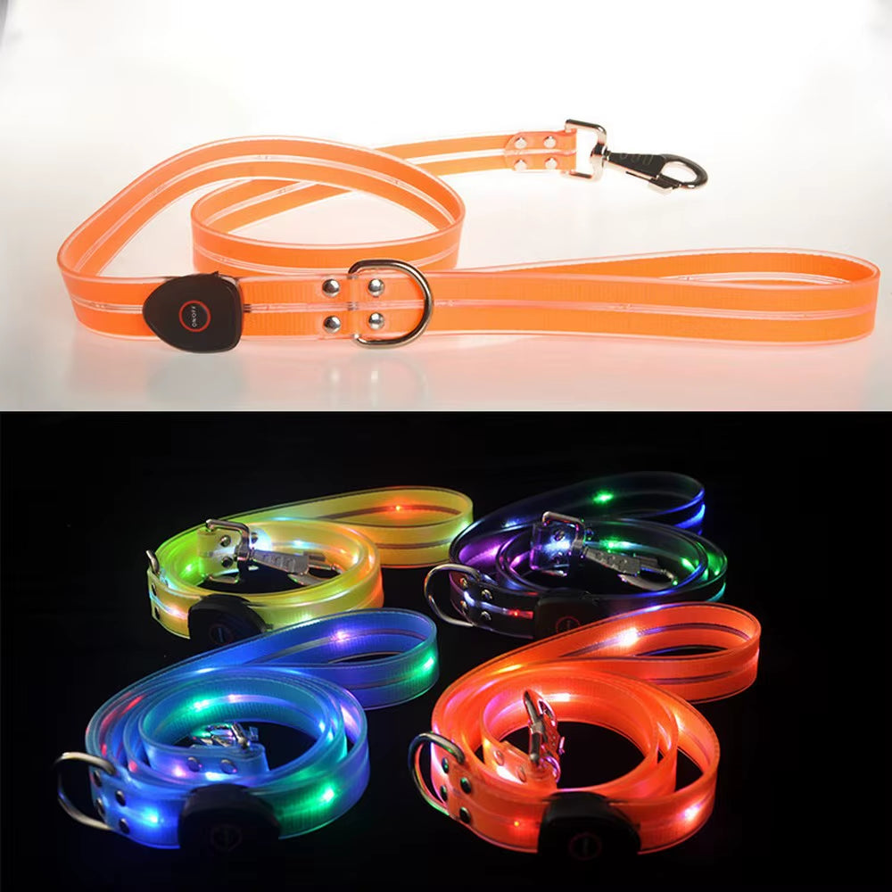 multiple LED dog leashes coiled and glowing in assorted colors for night safety illumination
