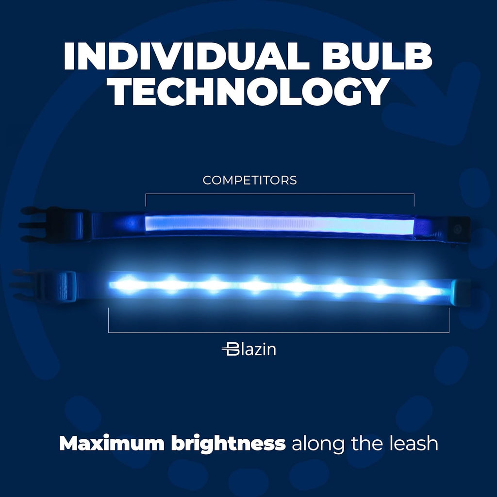 LED dog collar close up showing individual bulb technology for even brightness along the strap