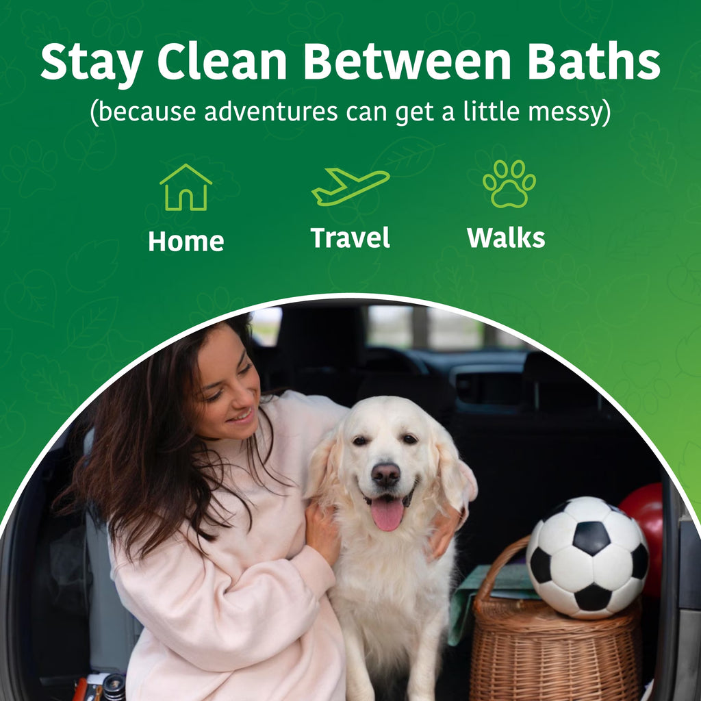 stay clean between baths pet wipes graphic with dog in car home travel walks