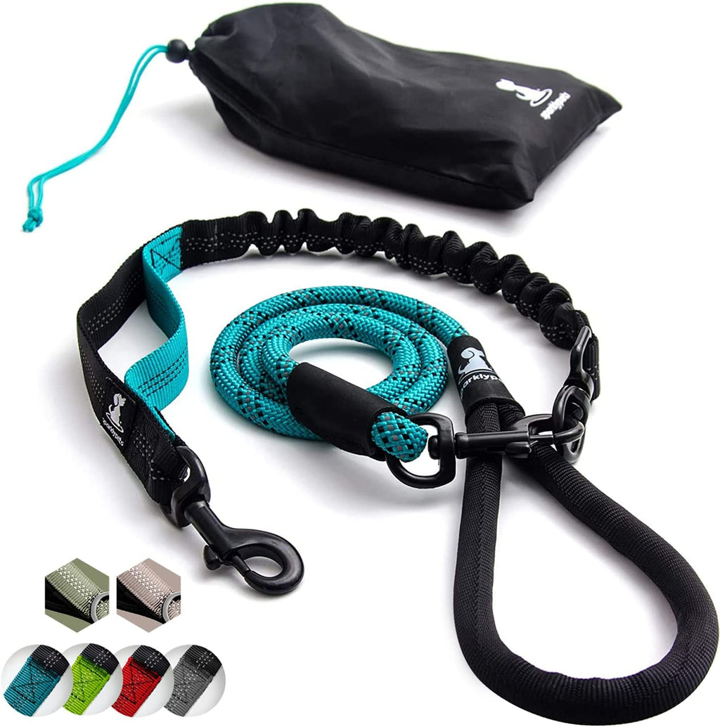 5.5 ft heavy duty bungee dog leash shock absorbing no pull design with durable hardware and accessories