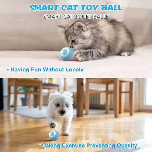 cat and small dog playing with smart automatic rolling ball interactive pet toy promoting exercise and reducing loneliness
