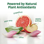 natural plant antioxidants graphic with grapefruit aloe vera apple extract and lotus