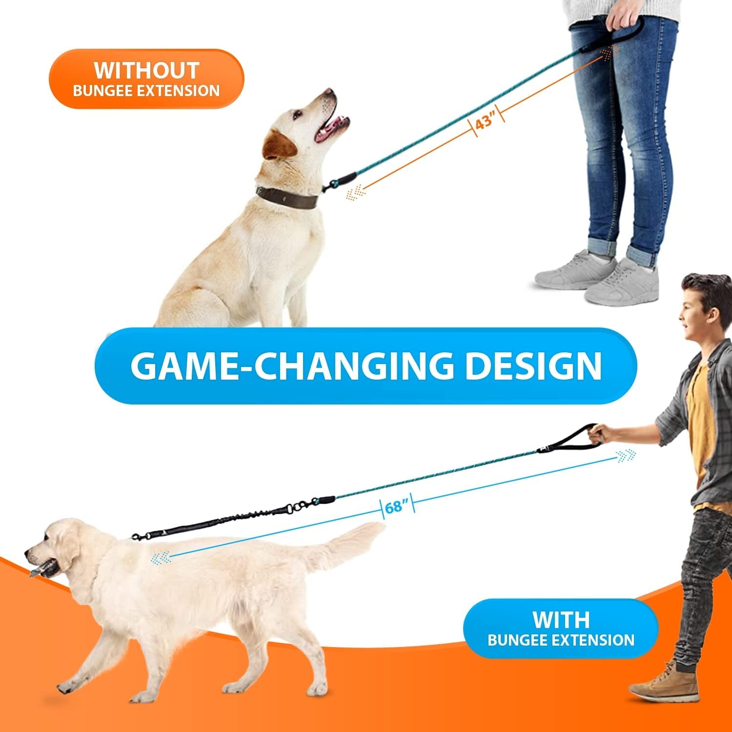 shock absorbing bungee dog leash used for walking two dogs featuring strong no pull game changing design
