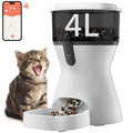 smart automatic pet feeder 4l capacity with cat sitting beside wifi timed dispenser and food bowl
