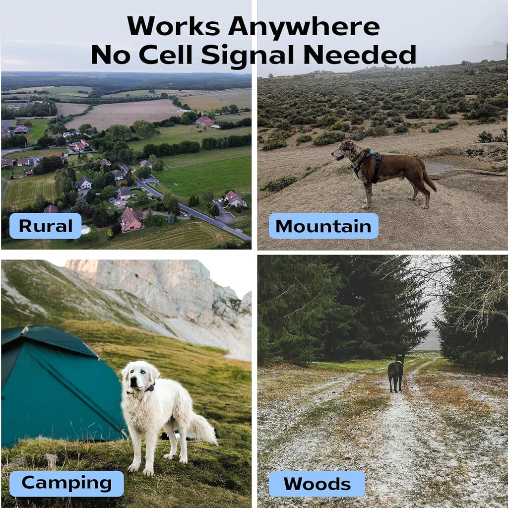 Dog in rural, mountain, camping and woods environments showing GPS tracker works anywhere without cell signal.