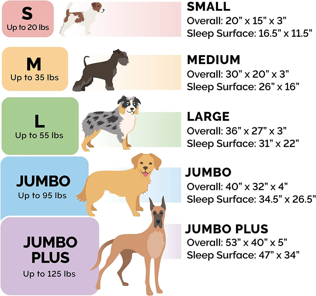 orthopedic dog bed size guide showing small medium large jumbo and jumbo plus options