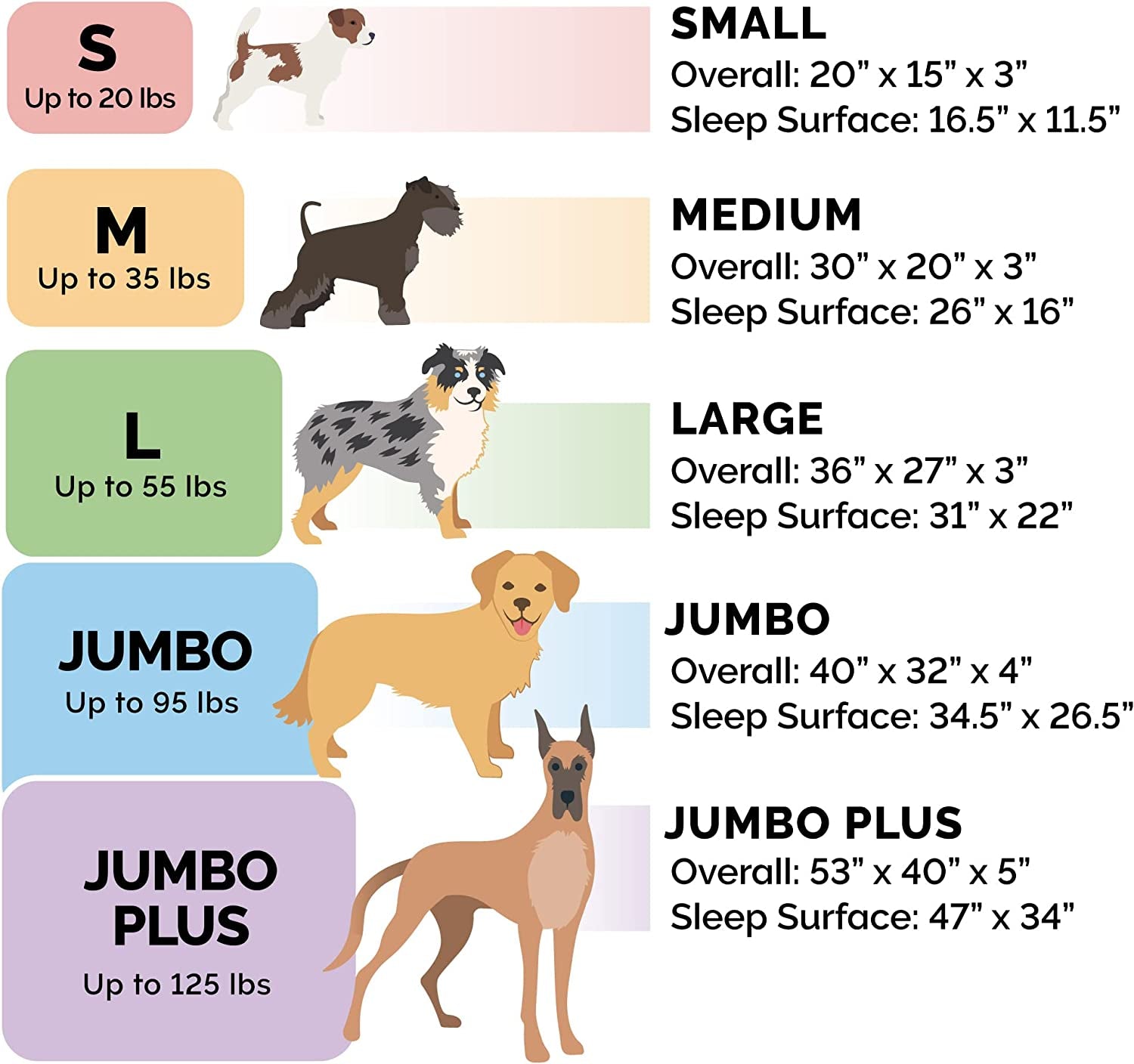 orthopedic dog bed size guide showing small medium large jumbo and jumbo plus options