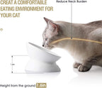 tilted ceramic cat bowl whisker friendly design for comfortable eating posture