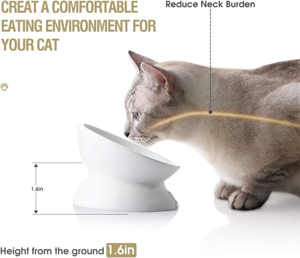 tilted ceramic cat bowl whisker friendly design for comfortable eating posture