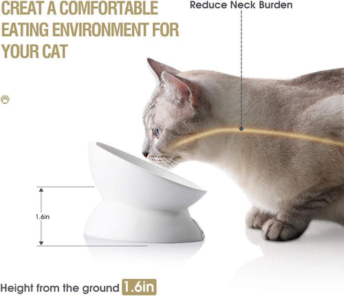 tilted ceramic cat bowl whisker friendly design for comfortable eating posture