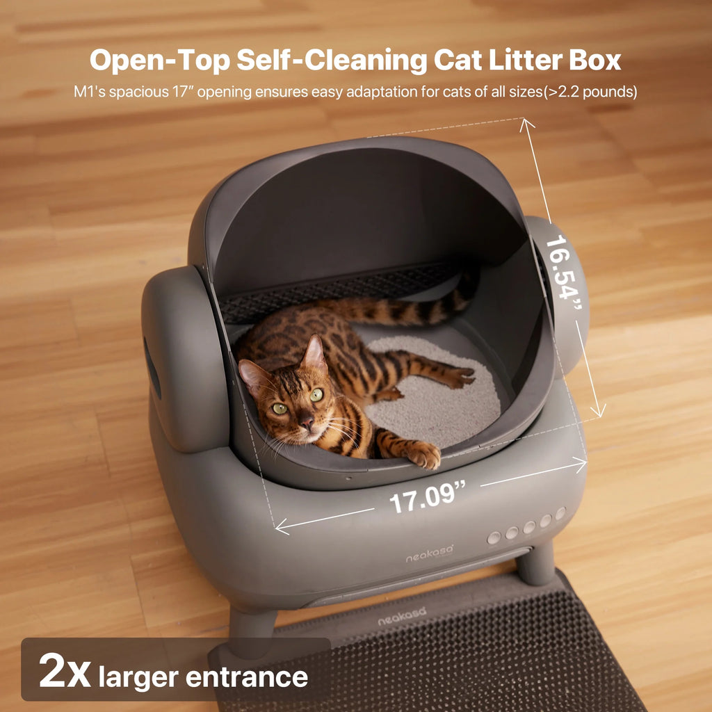Neakasa M1 open-top self-cleaning cat litter box with 2x larger entrance for cats of all sizes (>2.2 lbs), featuring a 17.09 inch wide opening and 16.54 inch depth. Tabby cat lying comfortably inside shows spaciousness and ease of use.