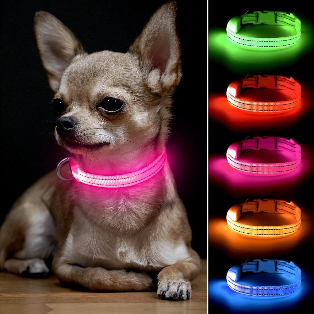 small dog wearing pink LED light up collar next to multiple LED pet collars in assorted colors for night visibility