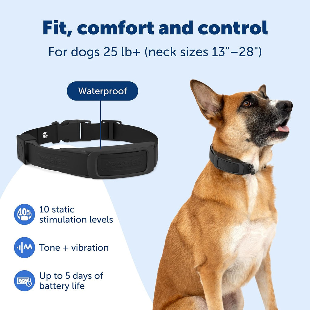 Dog wearing a PetSafe training collar with waterproof design, tone, vibration and static levels for safe control.