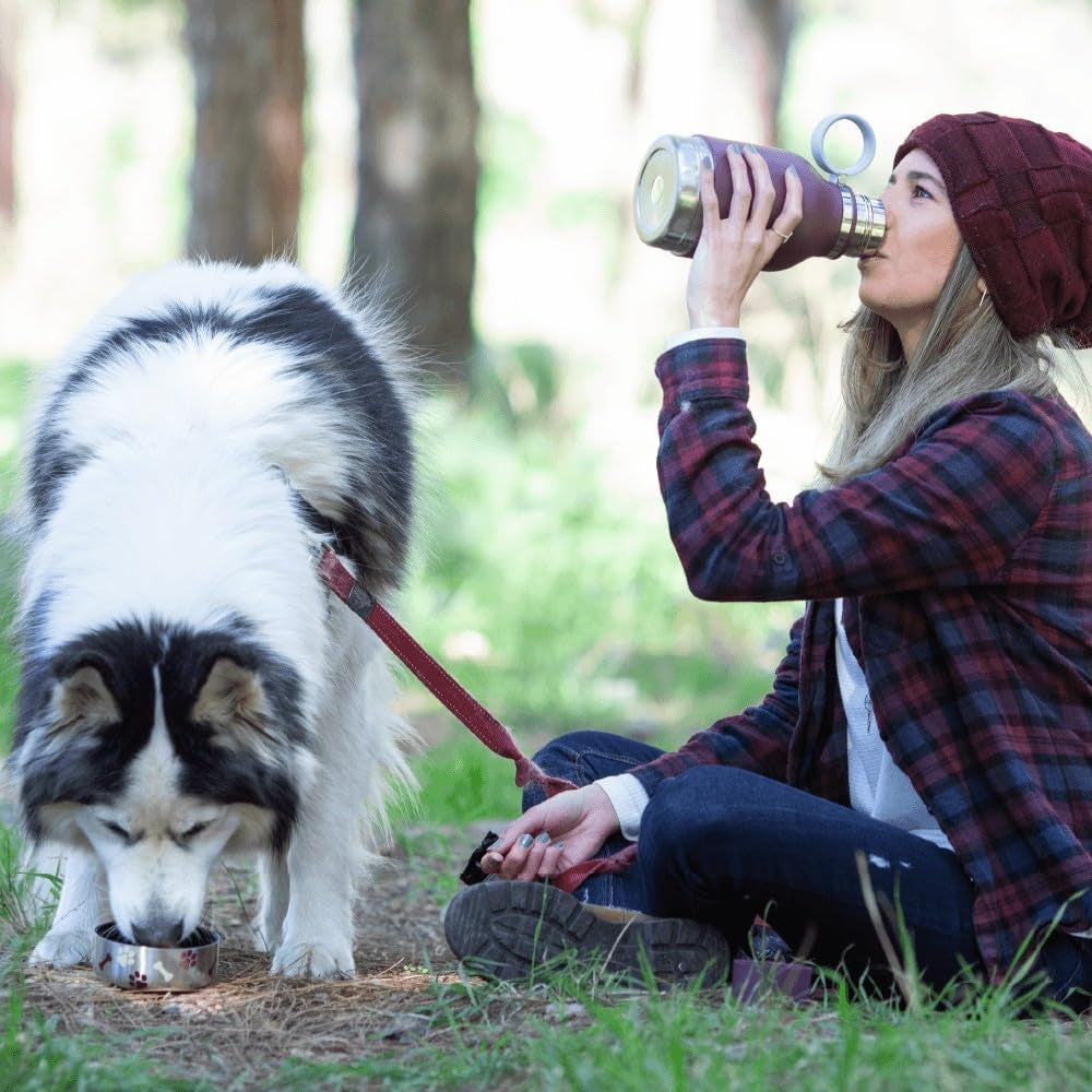 dog drinking from removable bowl while owner holds 37oz insulated stainless steel water bottle burgundy